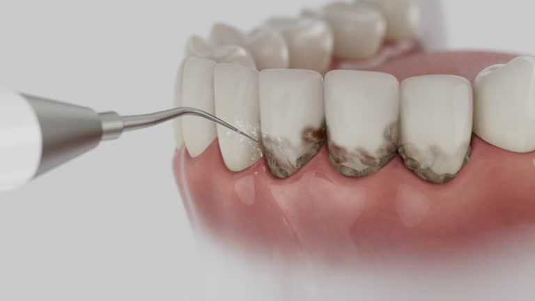 Reliable Dental contractor in Crab Orchard, WV by Dentist Open Now